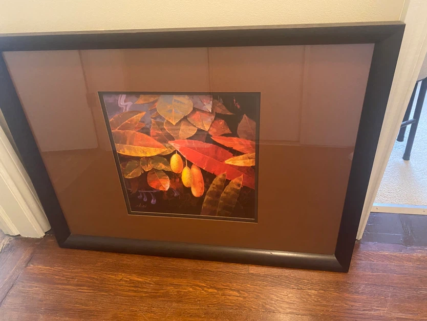 Framed Print by Jung K. An