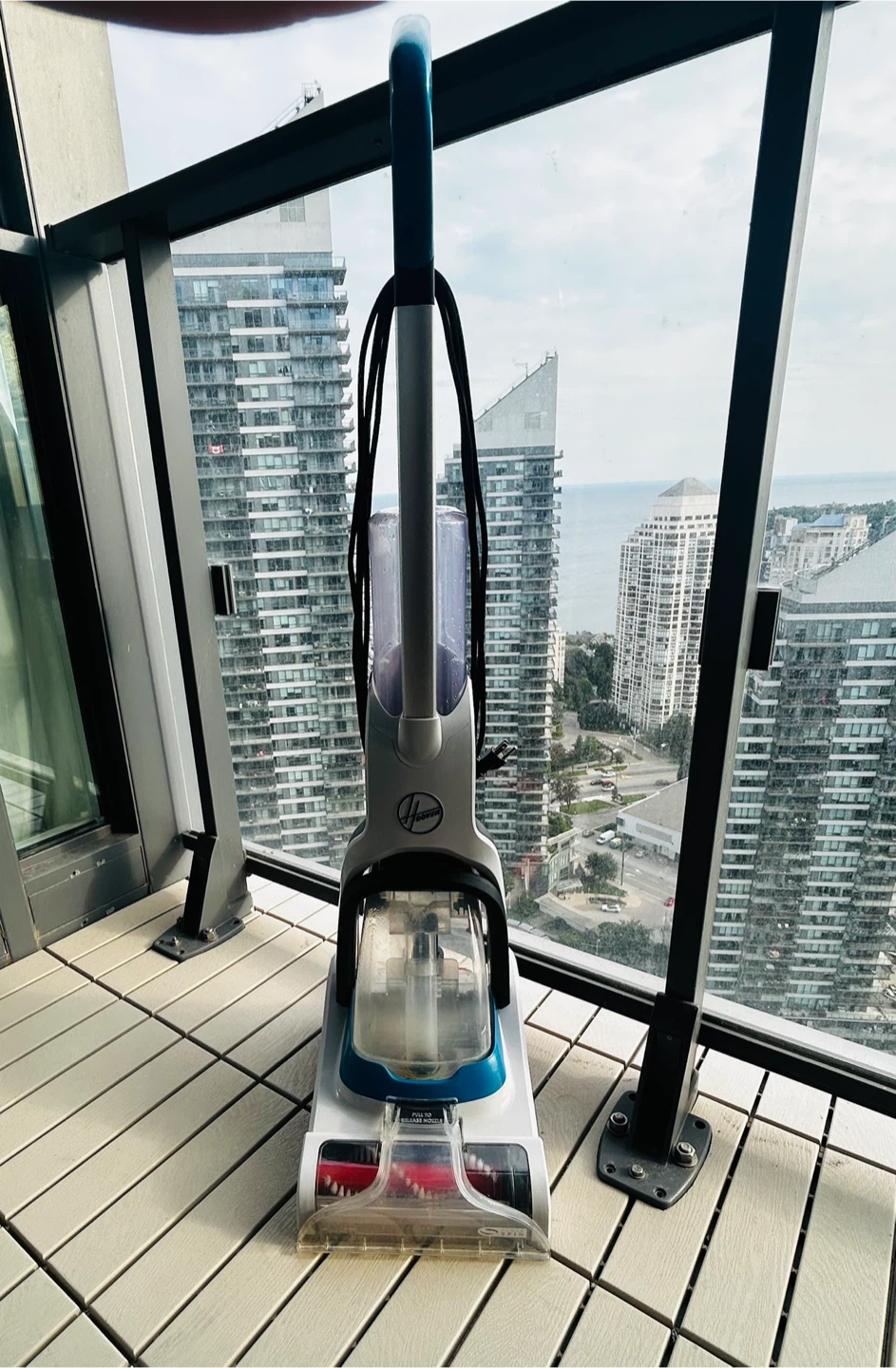 Hoover Carpet Cleaner