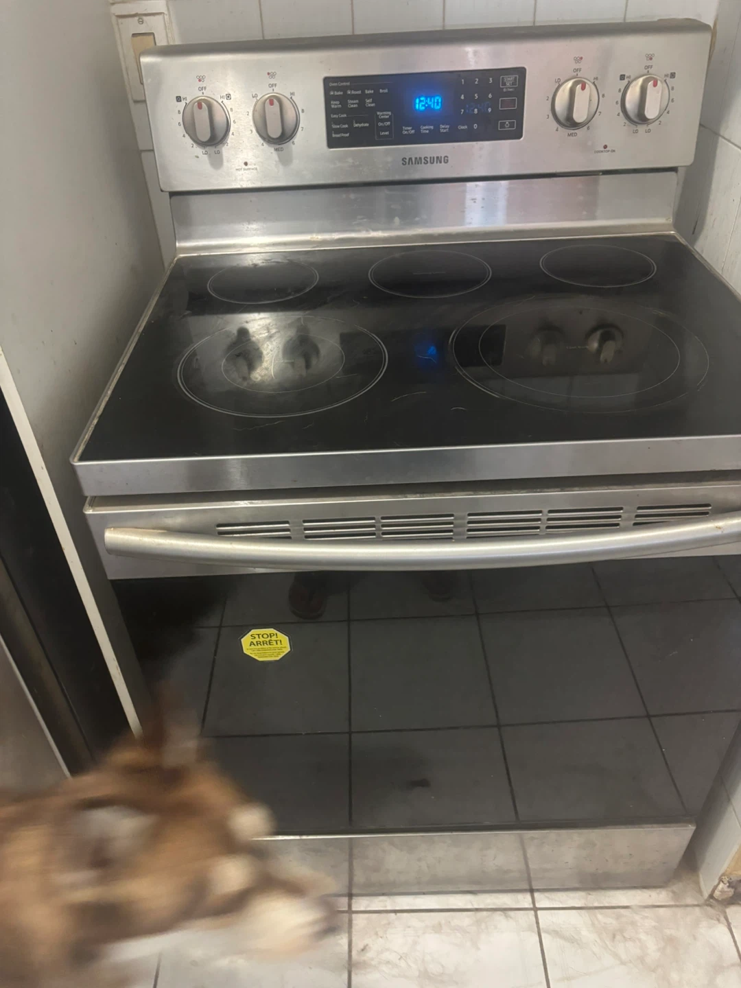 Samsung electric stove