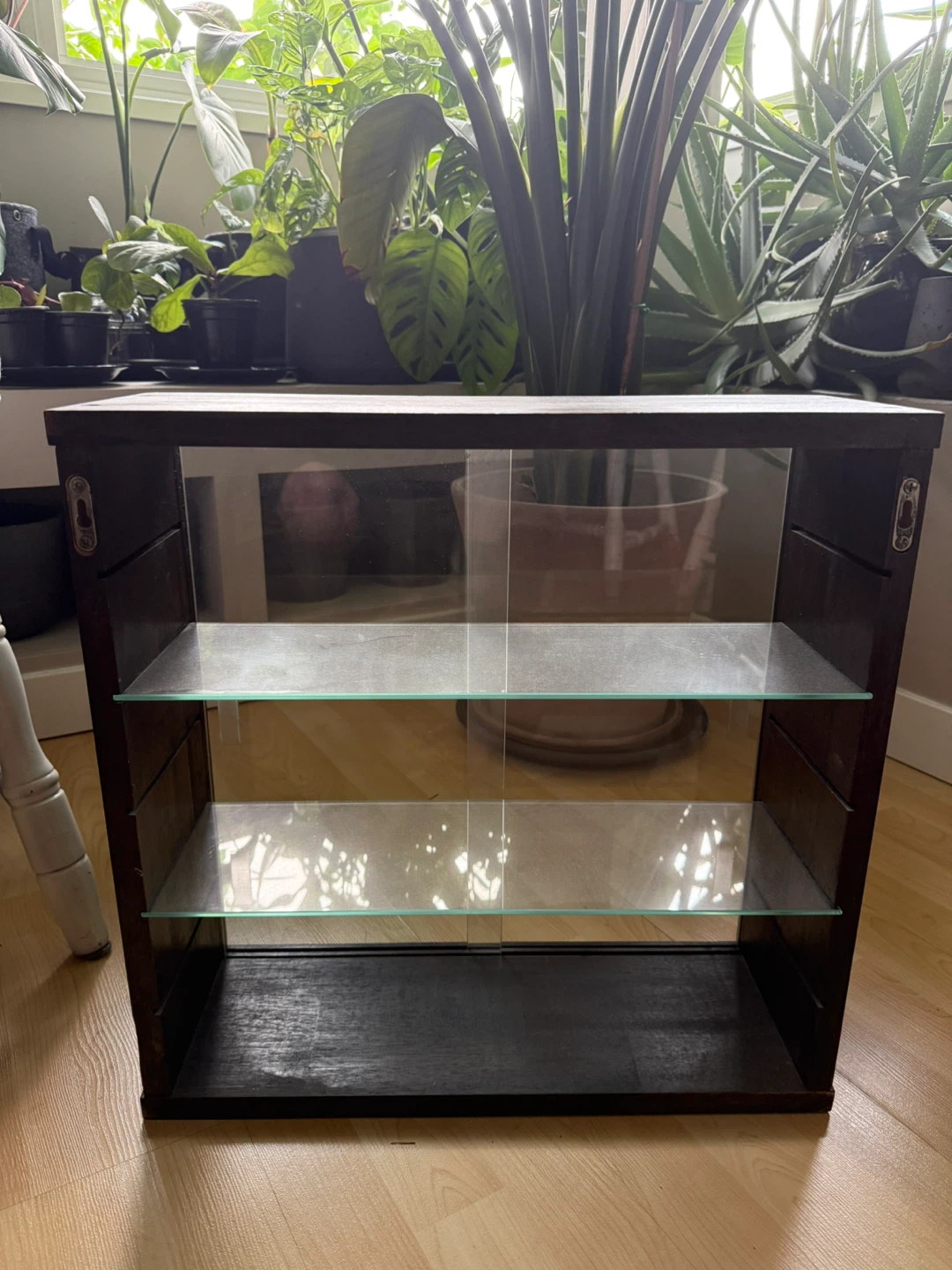 2x Wall-mounted Display Cabinet with Glass Doors - photo 3