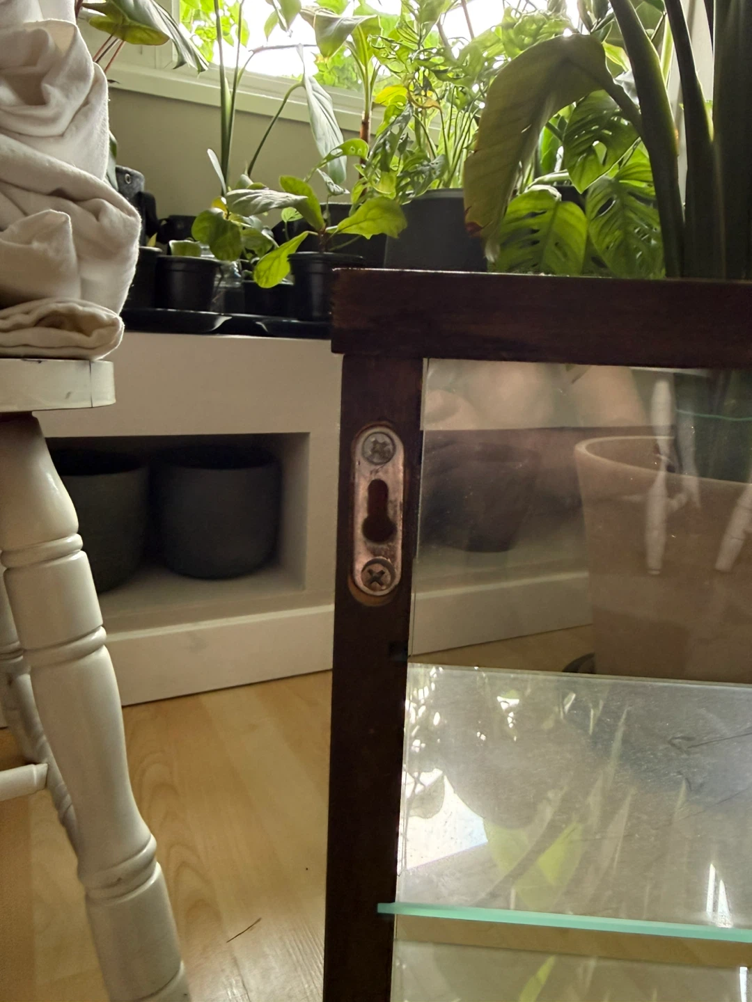 2x Wall-mounted Display Cabinet with Glass Doors - photo 5