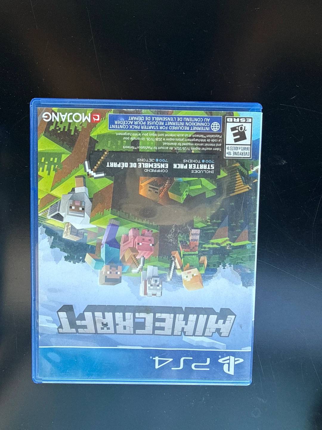 Minecraft PlayStation 4 Game