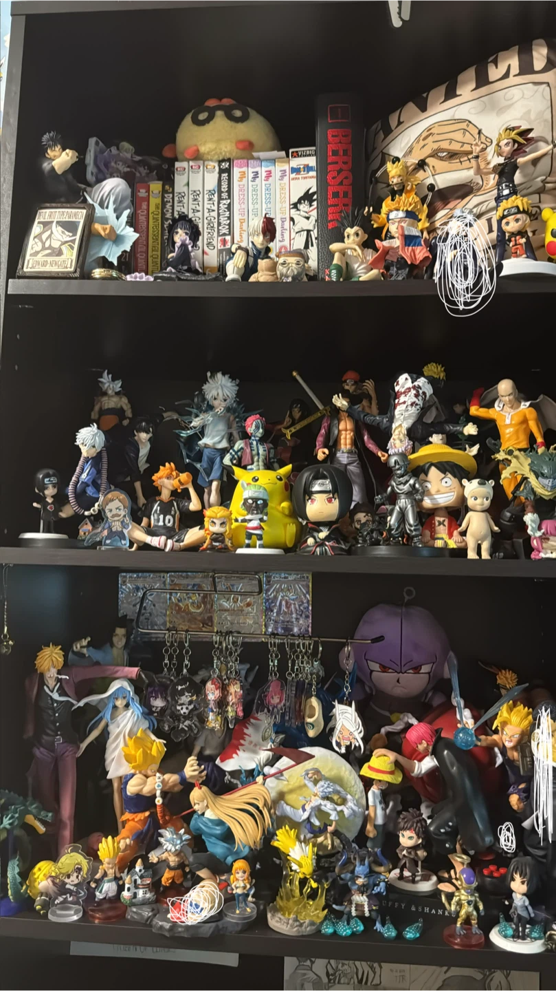 Anime Figure Collection