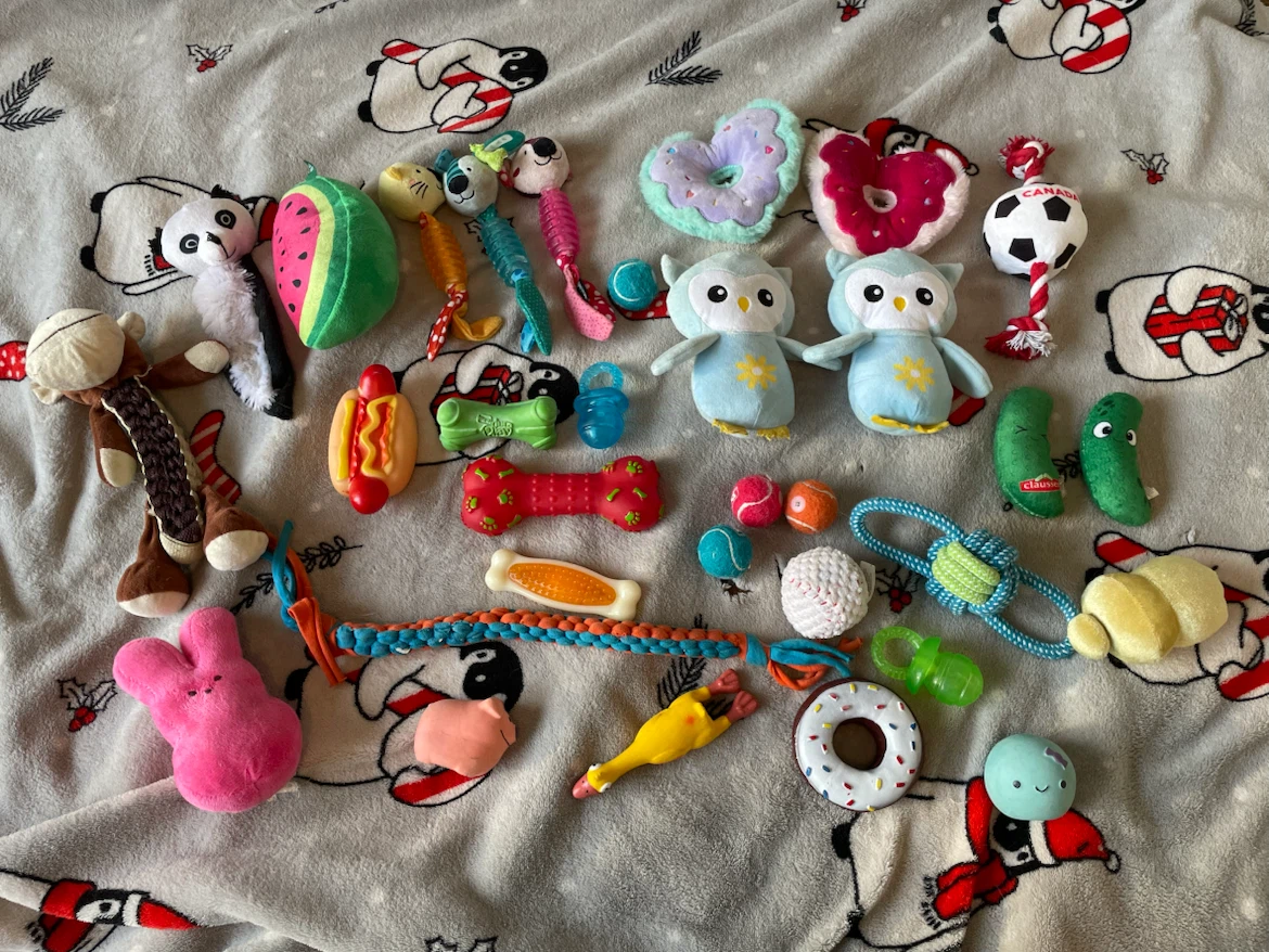 32pc Small Dog Toys Lot