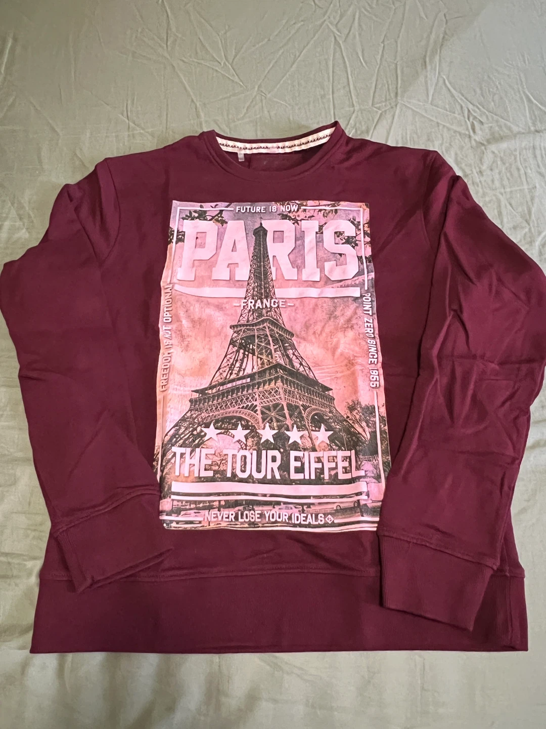 Maroon Paris Eiffel Tower Graphic Sweatshirt