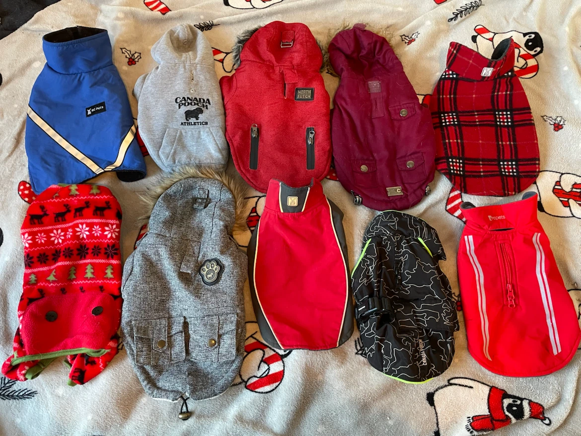10” XS Dog Clothing Lot