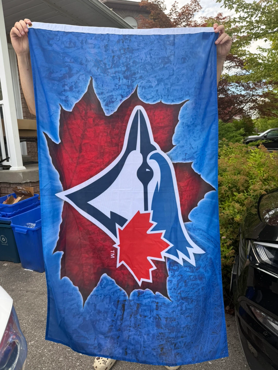 Toronto Blue Jays Flag - photo 2