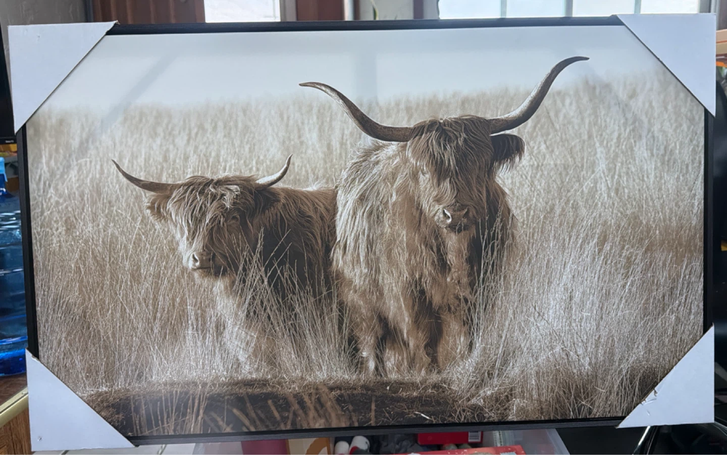 Highland Cow Framed Wall Art