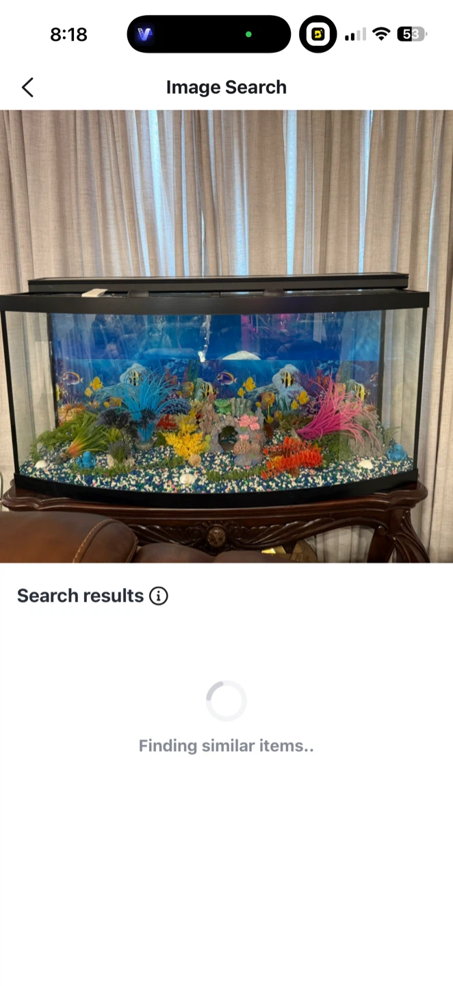 Bowfront Aquarium with Decorative Kit