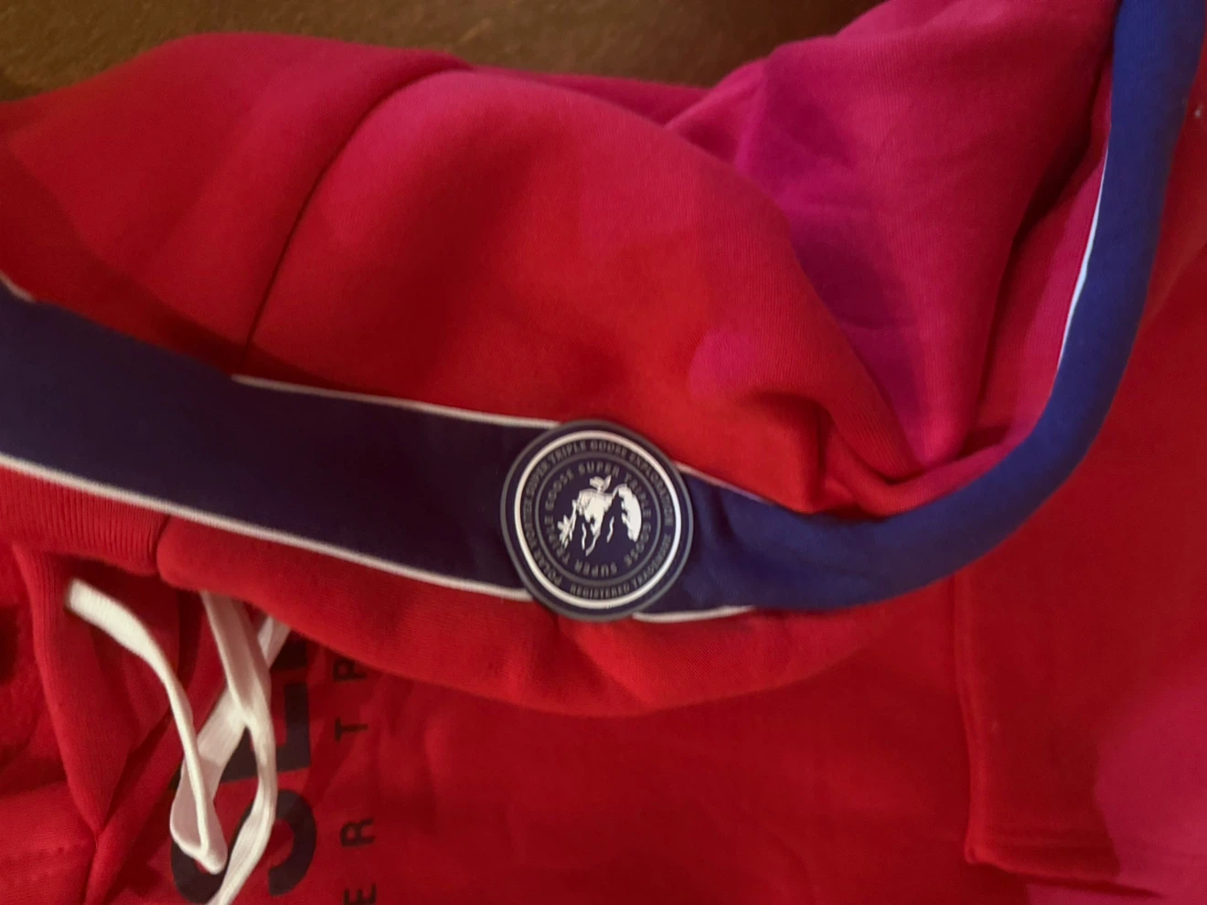 Super Triple Goose Essentials Hoodie - photo 3