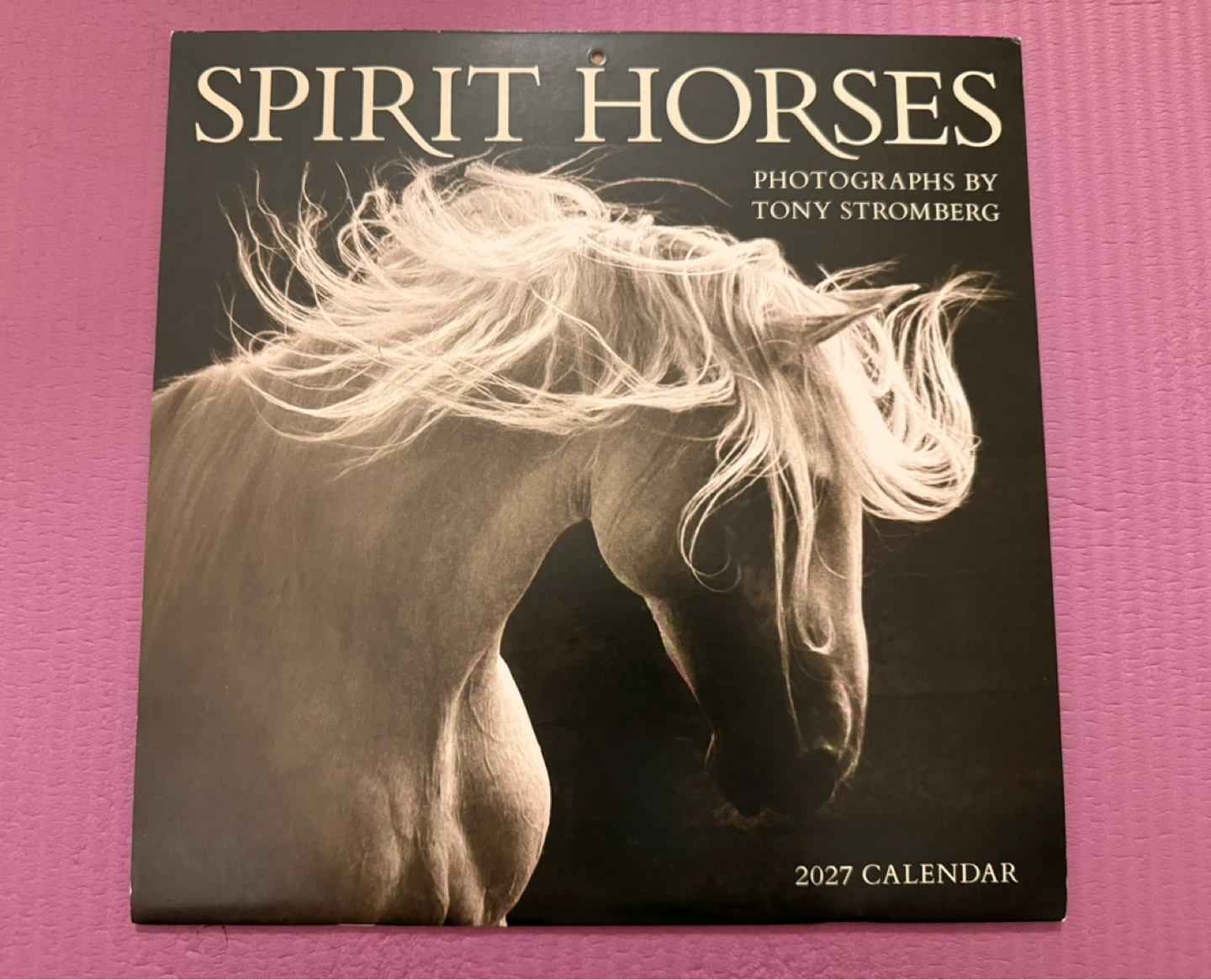 NEW✨2027 Wall Calendar by Tony Stromberg
