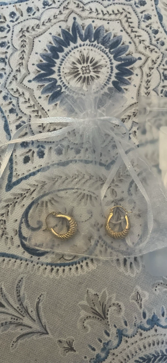 Gold Hoop Earrings in Sheer Pouch