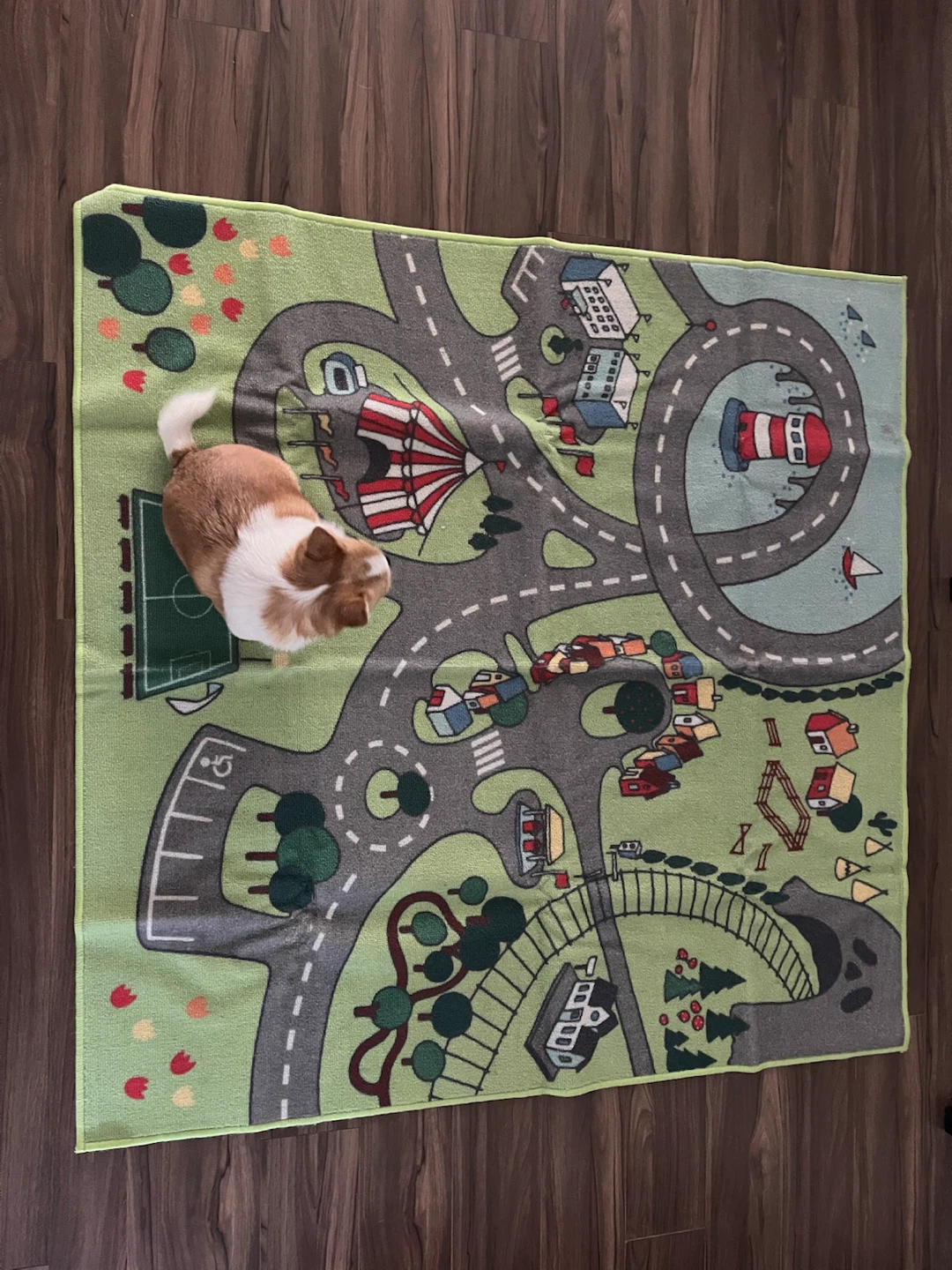 Carpet for kids - photo 2