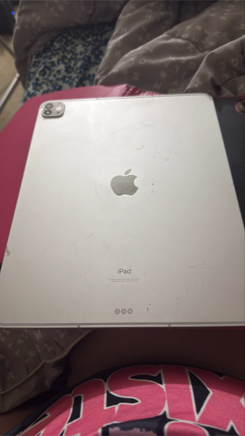 Ipad - photo 3