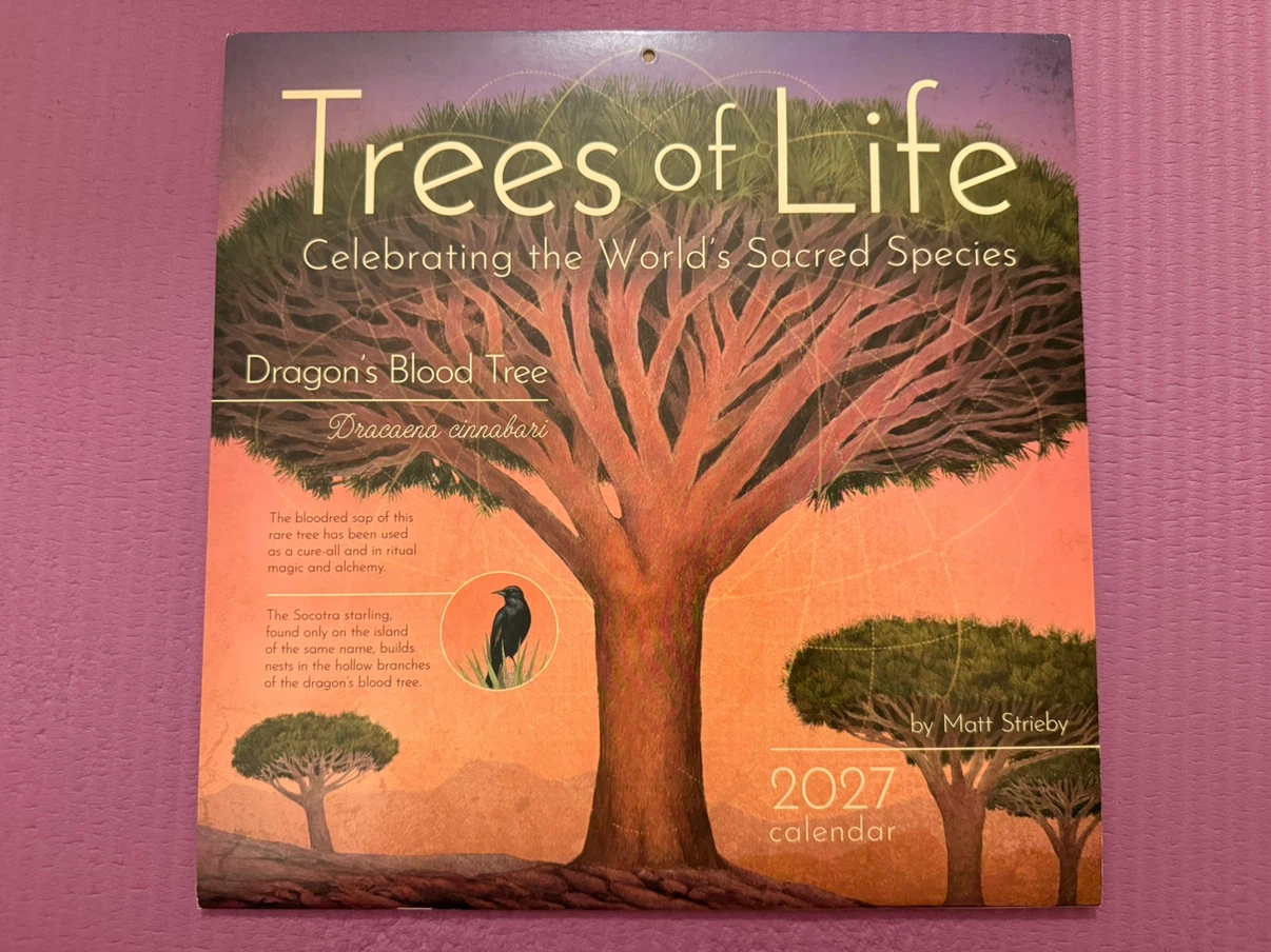 NEW✨Trees of Life 2027 Wall Calendar by Matt Strieby