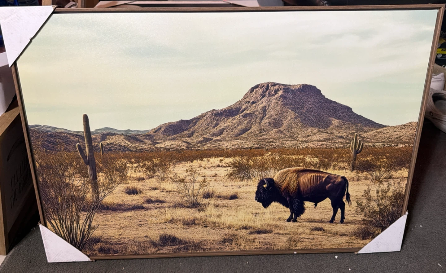 Desert Landscape Wall Art with Bison