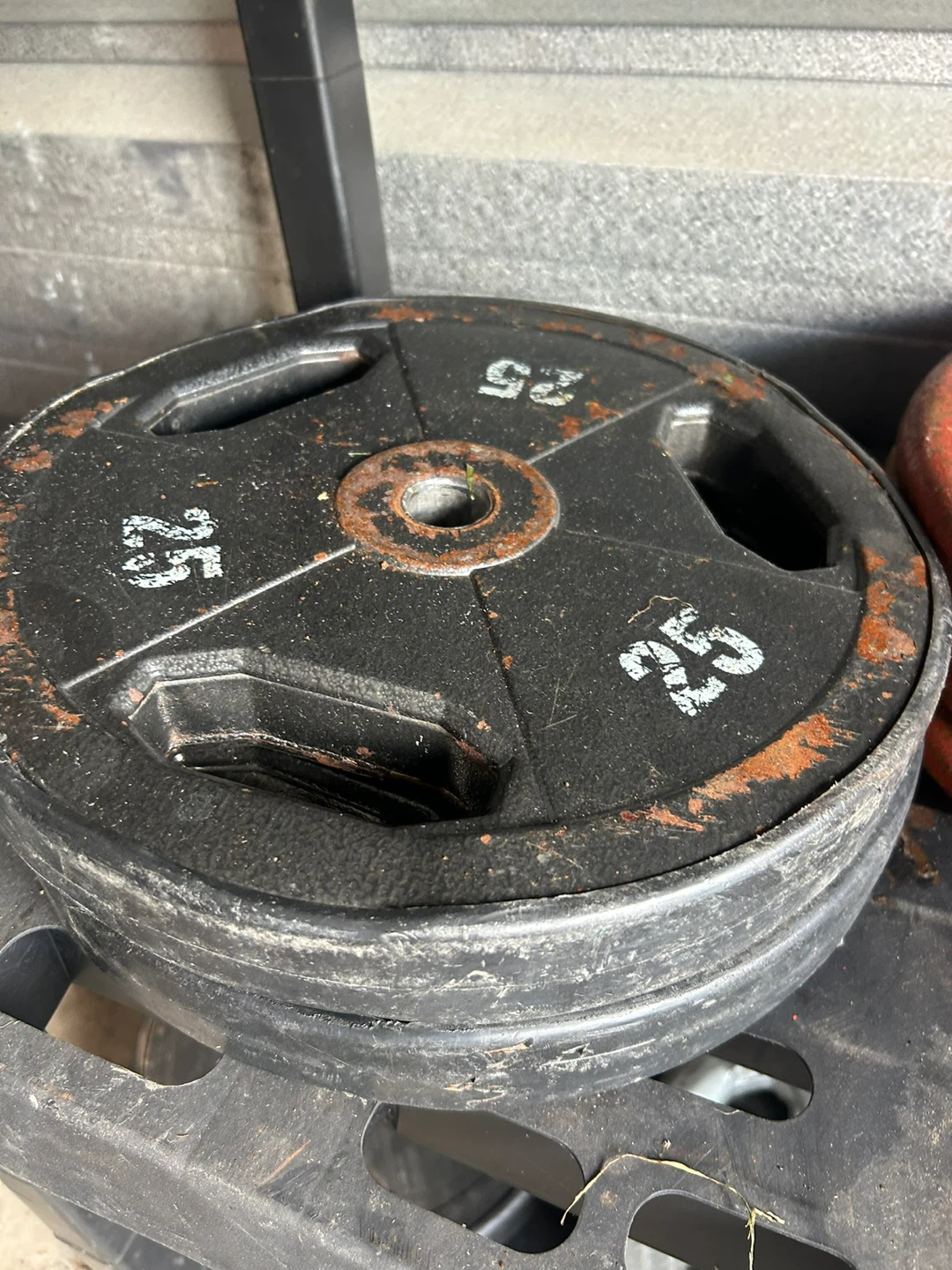 25 lb Weight Plates