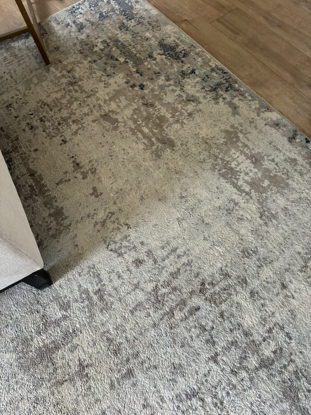 Area Rug - photo 2