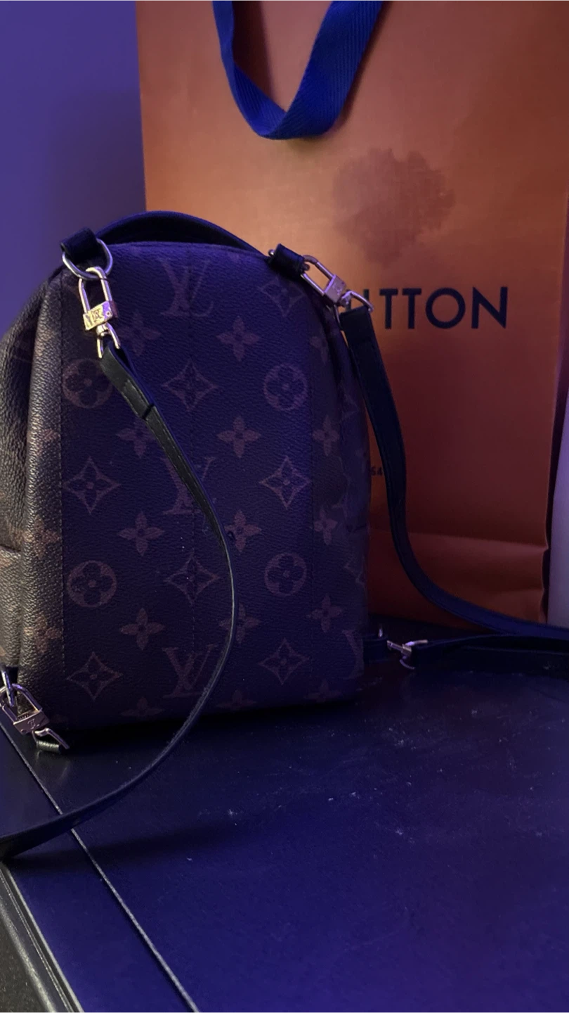 Louis Vuitton Monogram Palm Springs Mini Backpack - photo 3