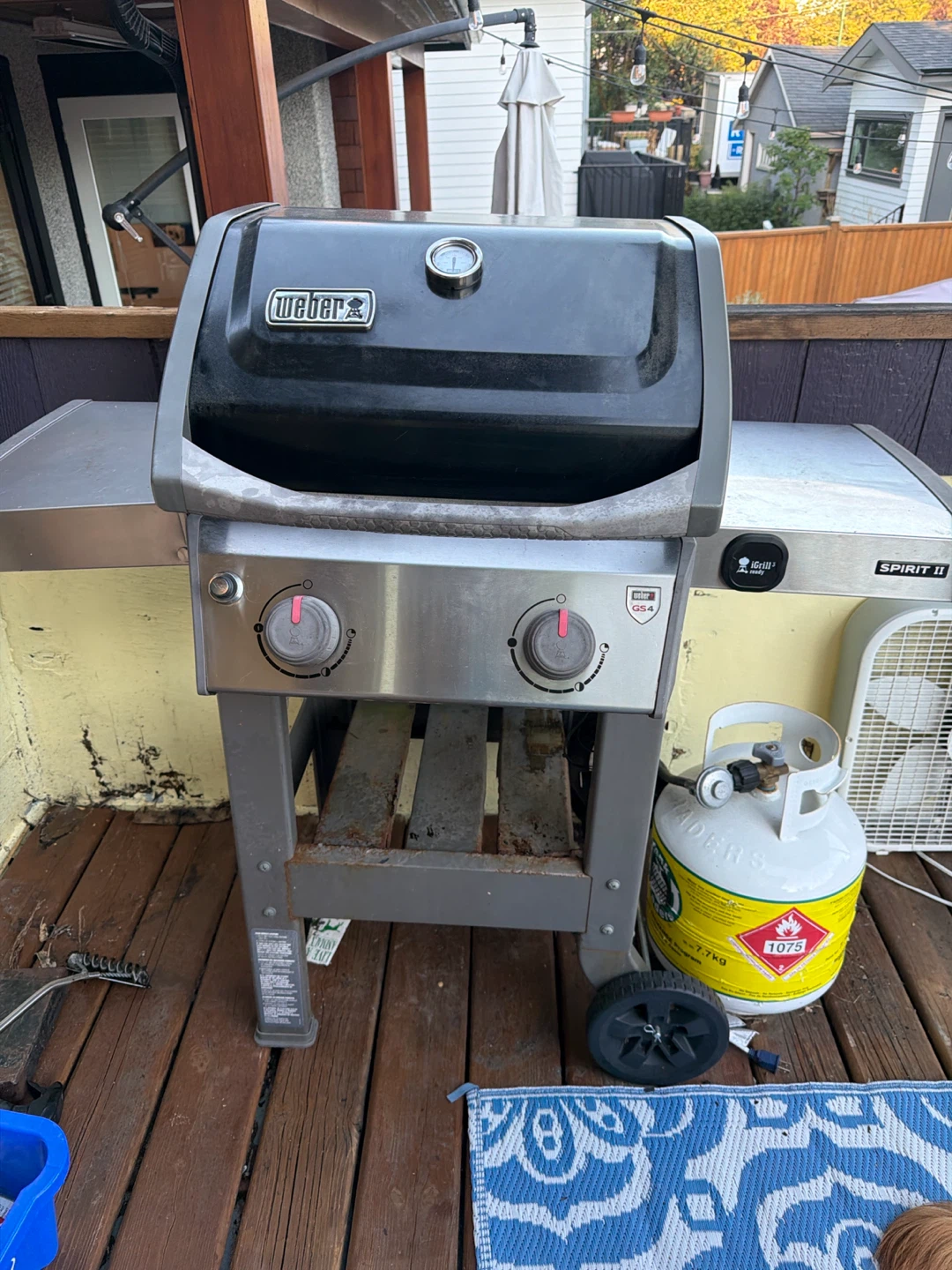 Weber Spirit II Propane Grill