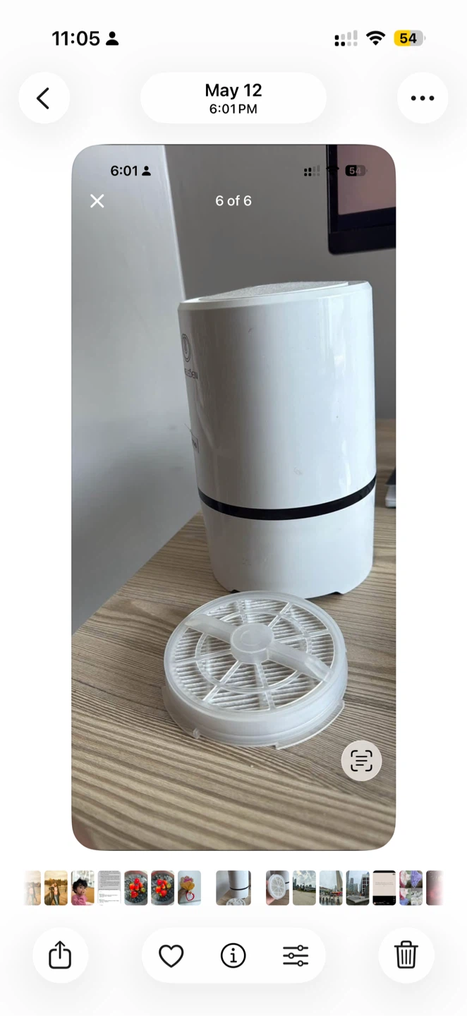 LEVOYDEN Air Purifier