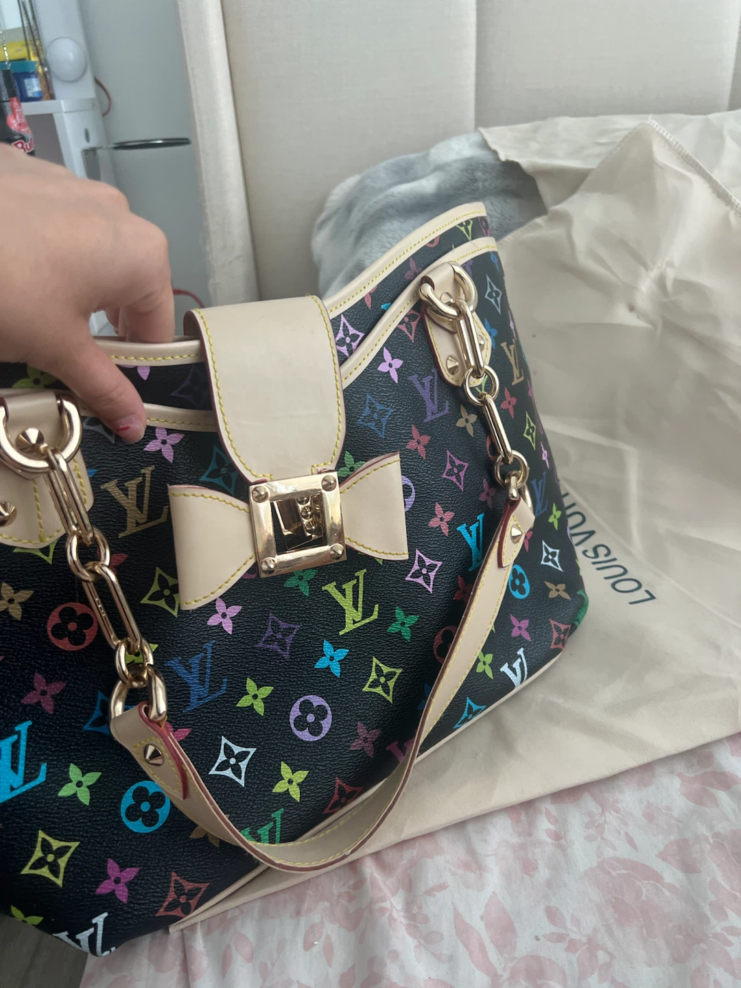 Louis Vuitton Multicolor Speedy Handbag