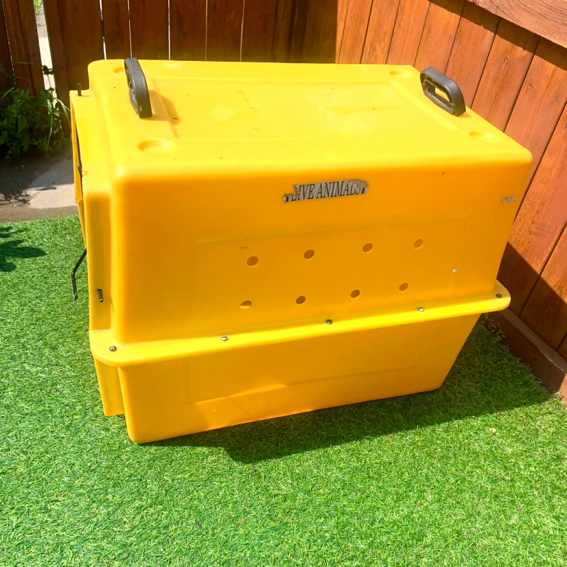 Large Pet Carrier Dog Travel Kennel Crate Plastic Animal Cage - photo 2