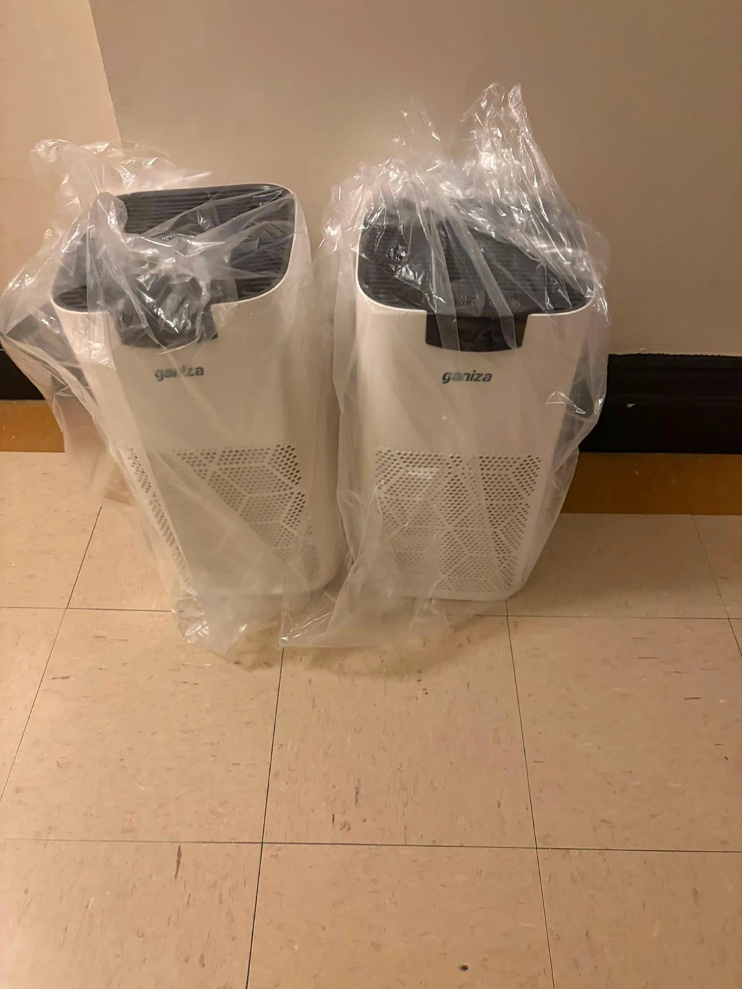 Ganiza Air Purifiers - Set of 2 - photo 2