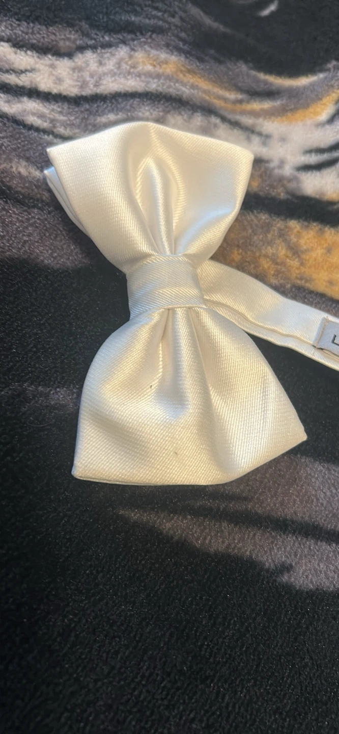 Le Château White Satin Bow Tie
