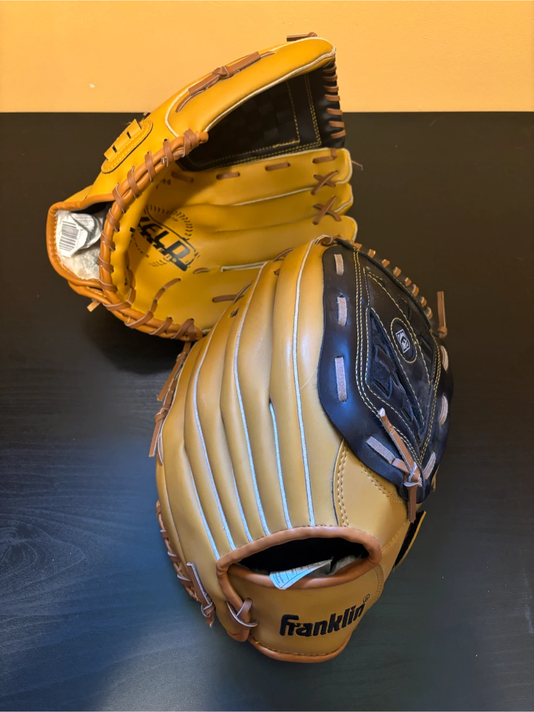 Franklin Field Master baseball gloves