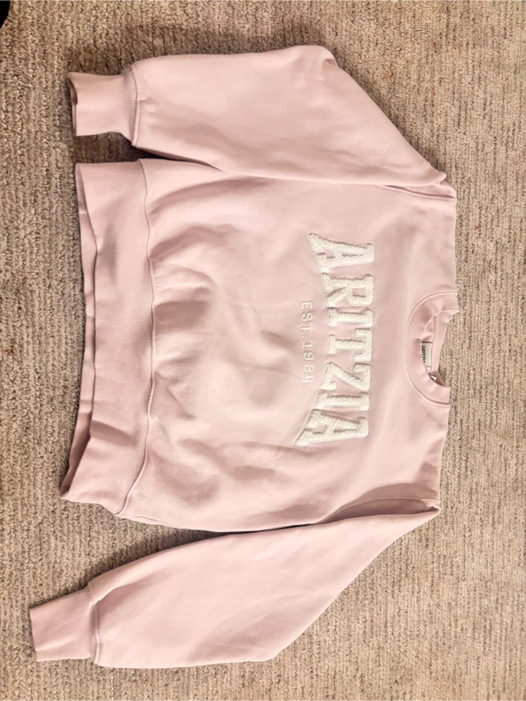 Aritzia Pink Sweatshirt