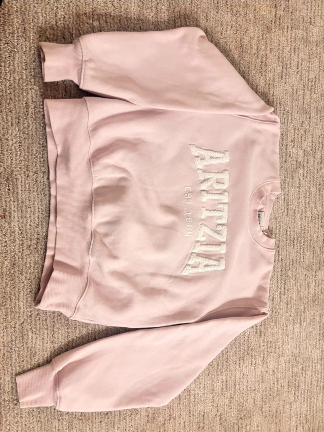 Aritzia Pink Sweatshirt - photo 2