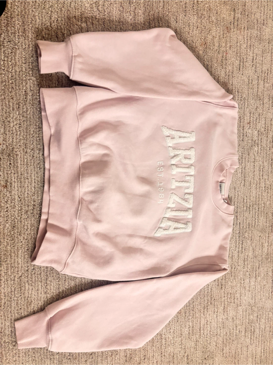 Aritzia Pink Sweatshirt - photo 3