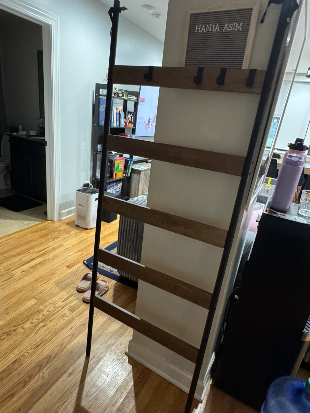 Wooden Ladder Shelf with Hooks