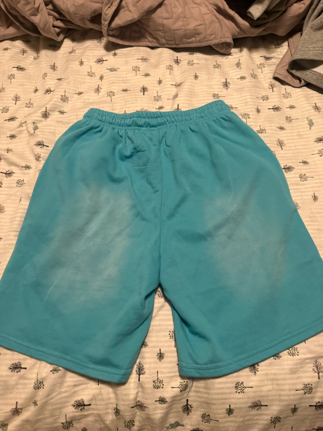 Hellstar Blue Sweat Shorts - photo 3