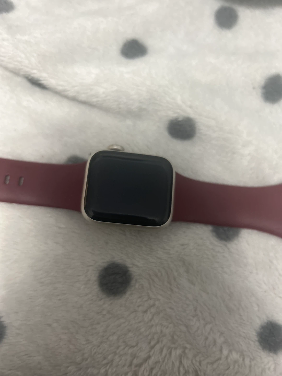 Apple Watch SE 40mm Aluminium Case