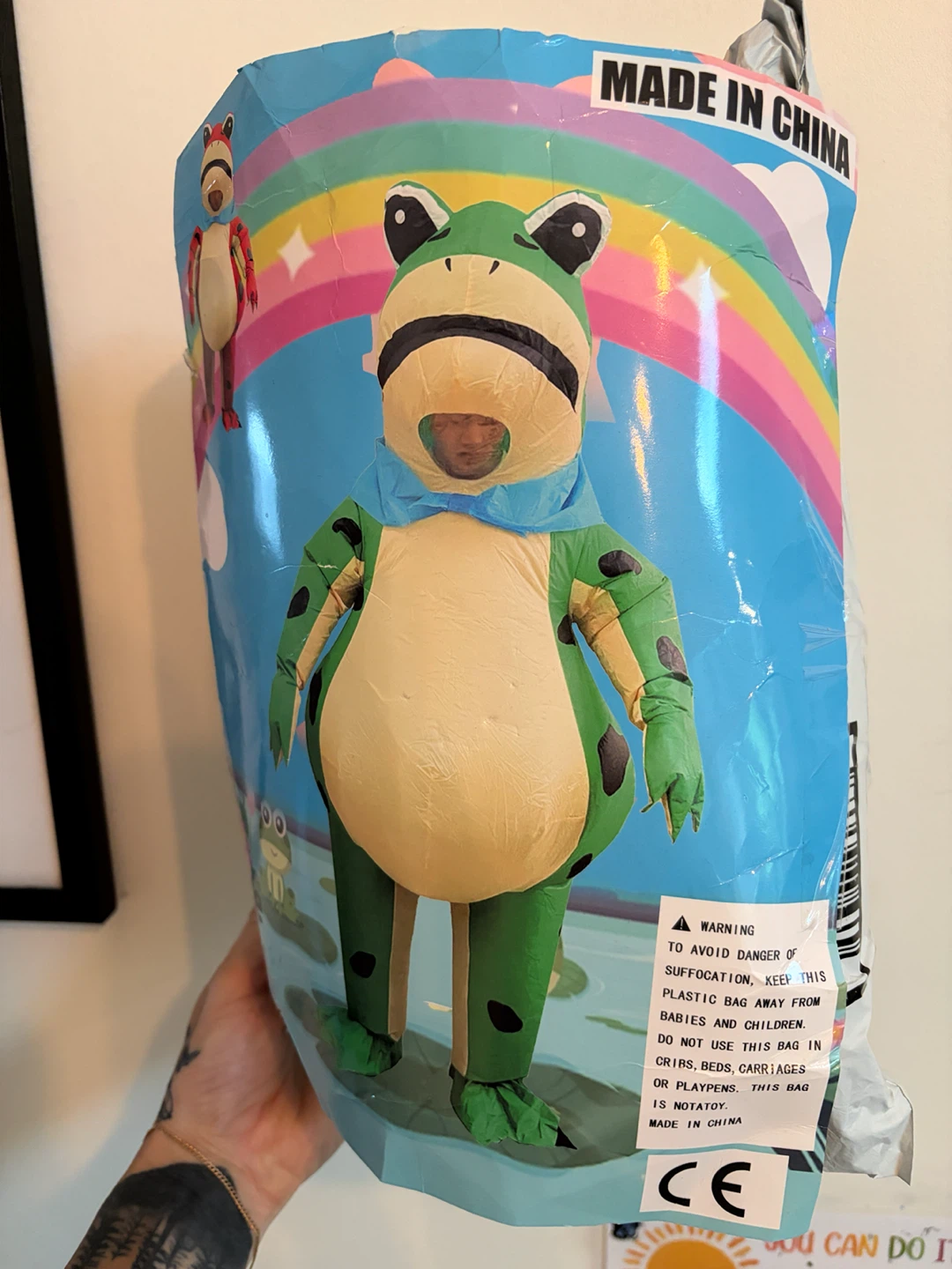 Inflatable Frog Costume