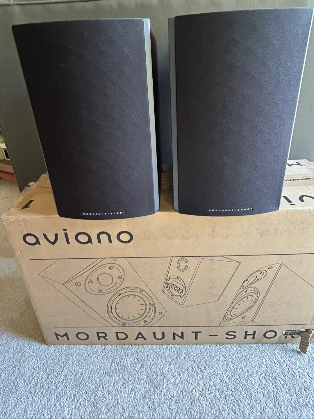 Mordaunt Short Aviano 1 Speakers