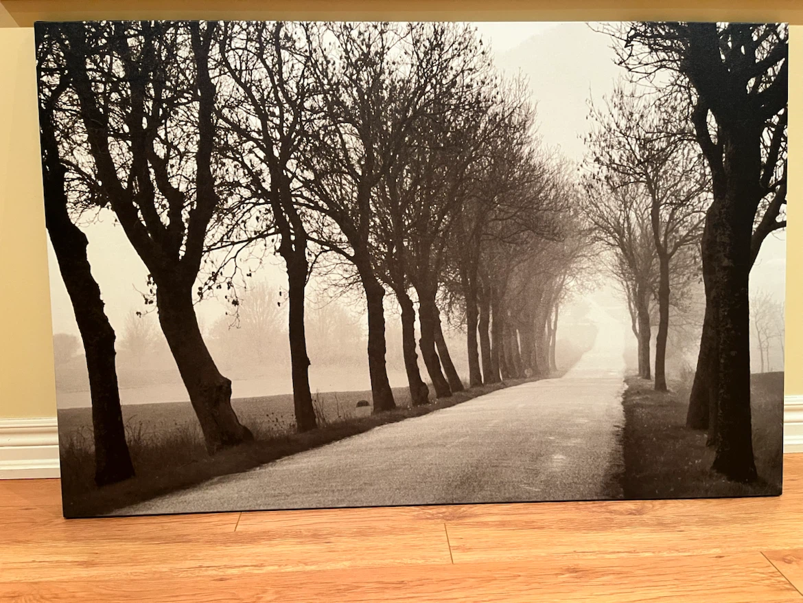 Canvas Wall Art - Tree Lined Road