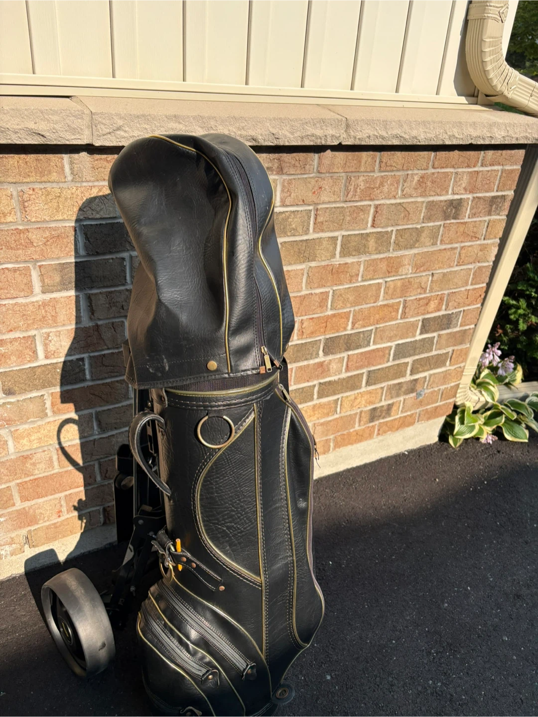 Men’s Golf Club Set with Cart