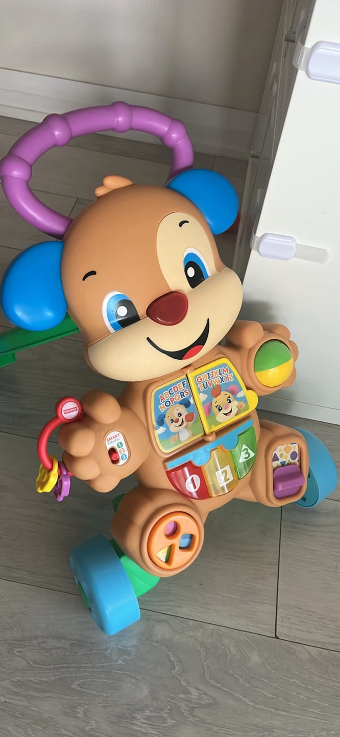 Fisher-Price Laugh and Learn Puppy Walker