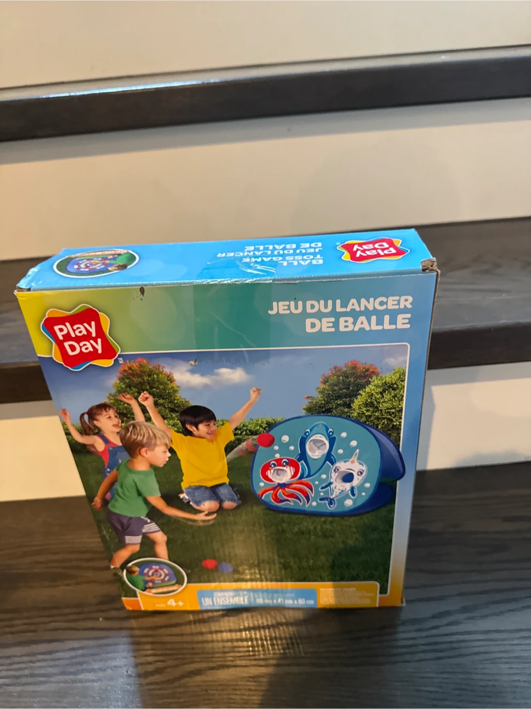Play Day Ball Toss Game