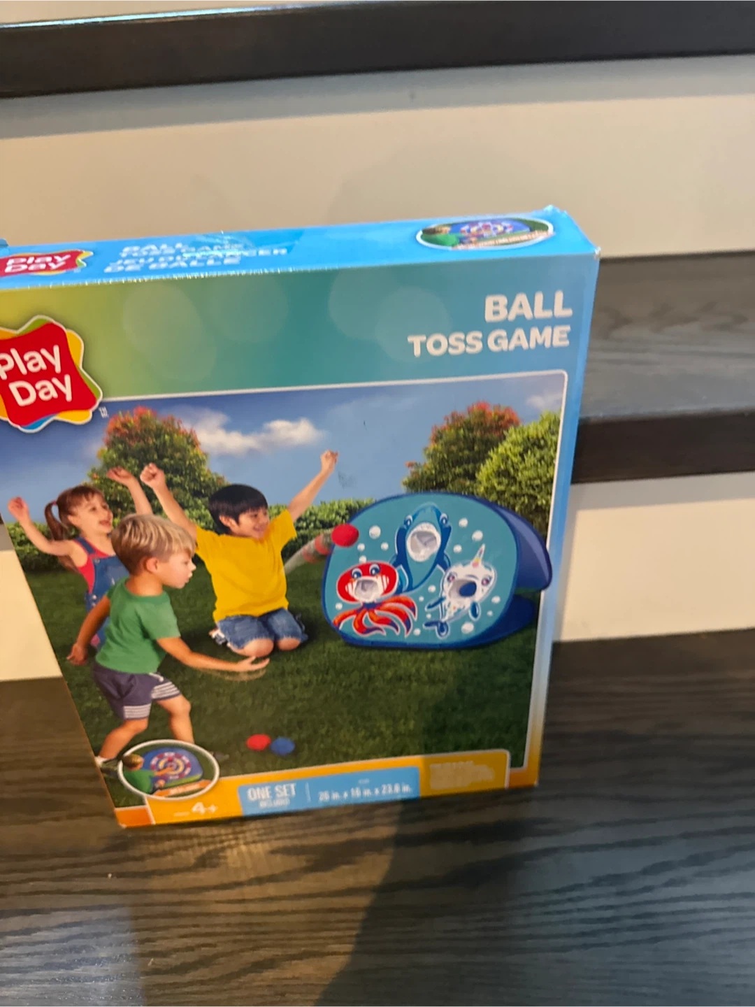 Play Day Ball Toss Game - photo 2
