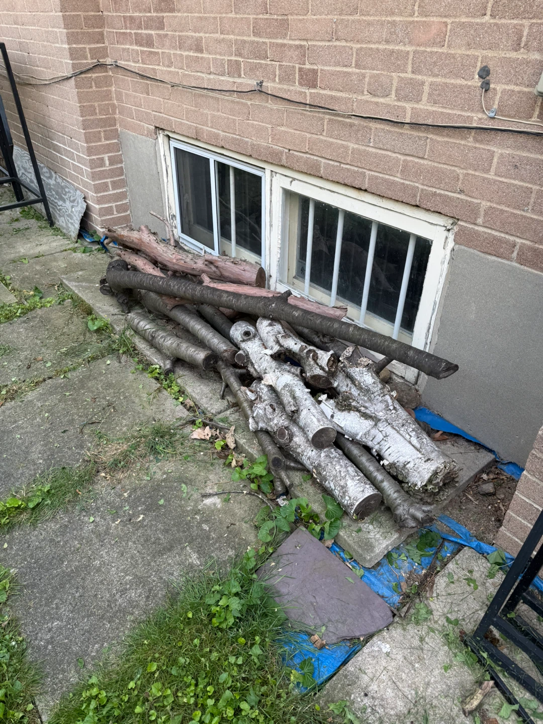 Free Firewood - photo 2
