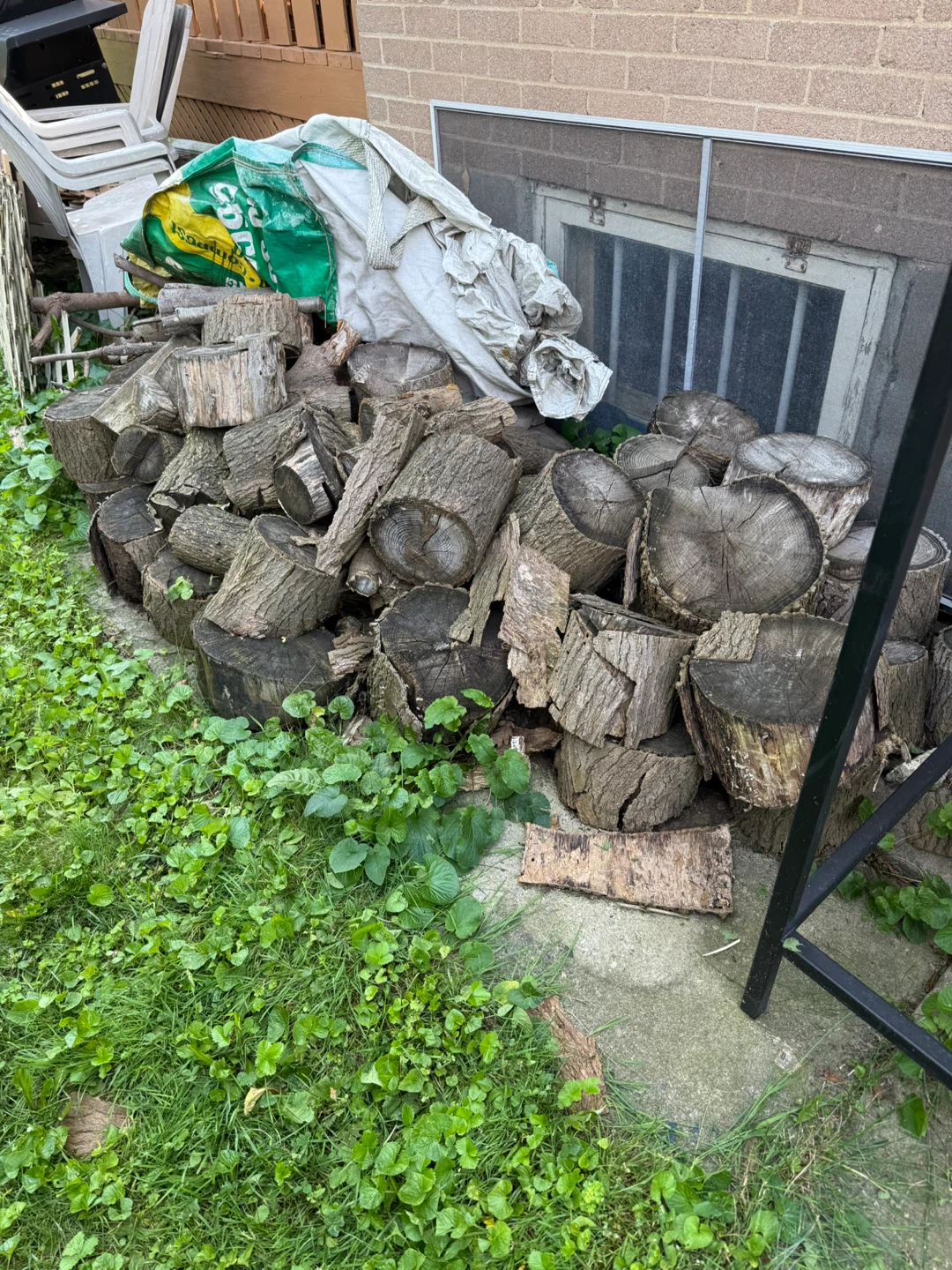 Free Firewood - photo 3