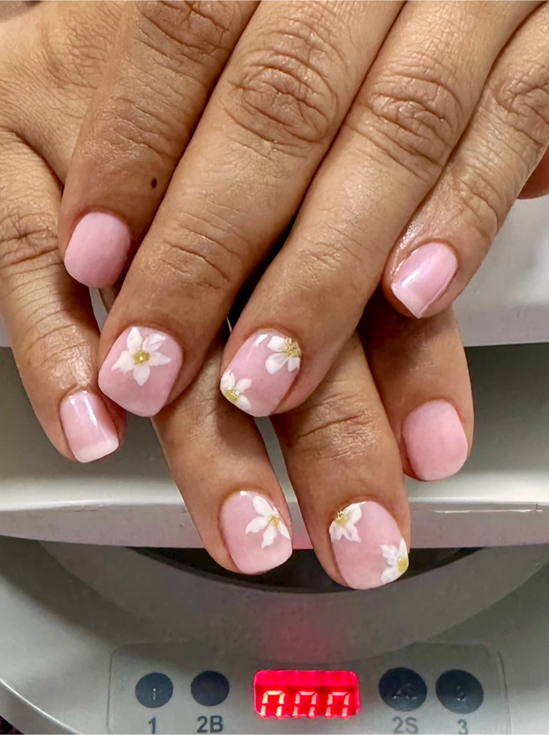 Aesthetic salon services - photo 4