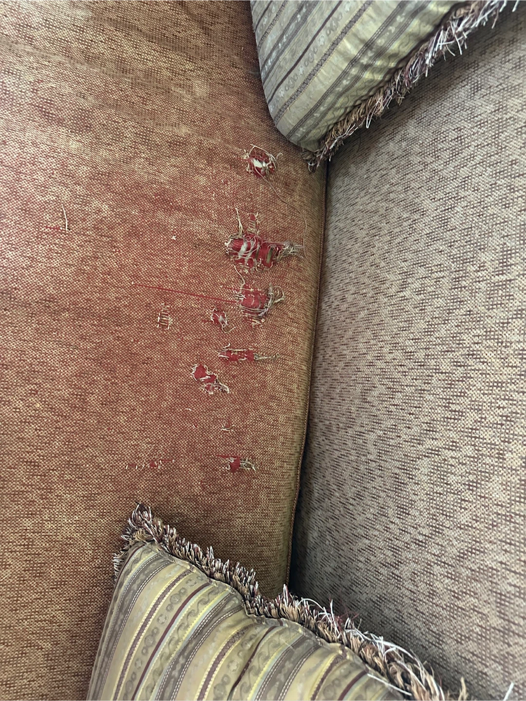 Couch set - photo 4