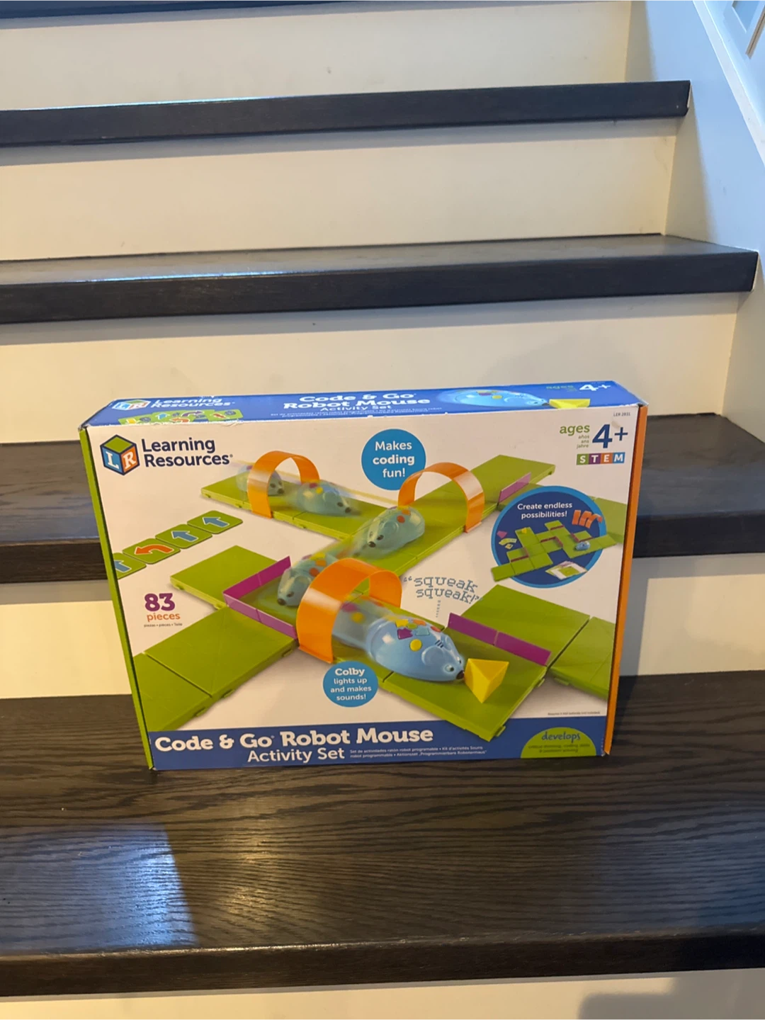 Learning Resources Code & Go Robot Mouse Activity Set