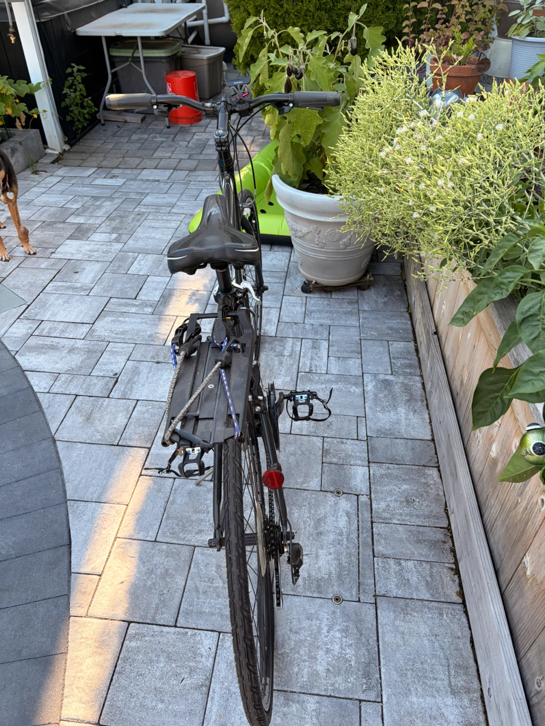 Trek FX 2 Disc Hybrid Bike - photo 2