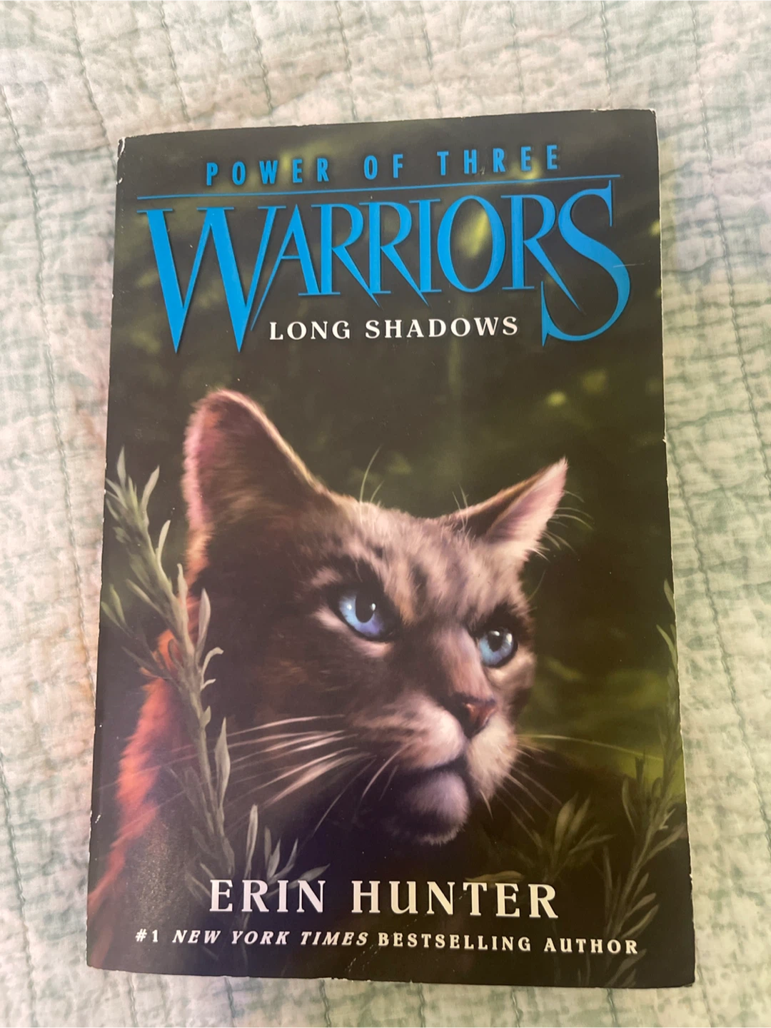 Warriors: Long Shadows Book by Erin Hunter